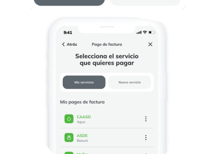 Pago-de-servicio